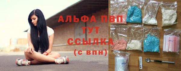 индика Ладушкин