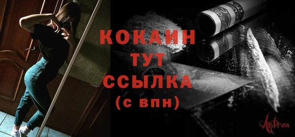 индика Ладушкин