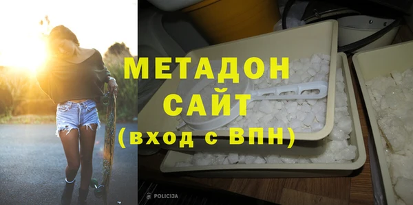 индика Ладушкин