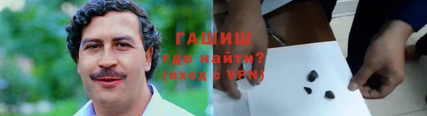 индика Ладушкин