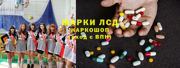 индика Ладушкин