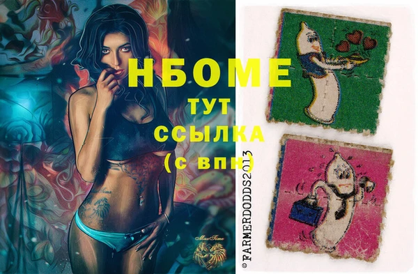 индика Ладушкин