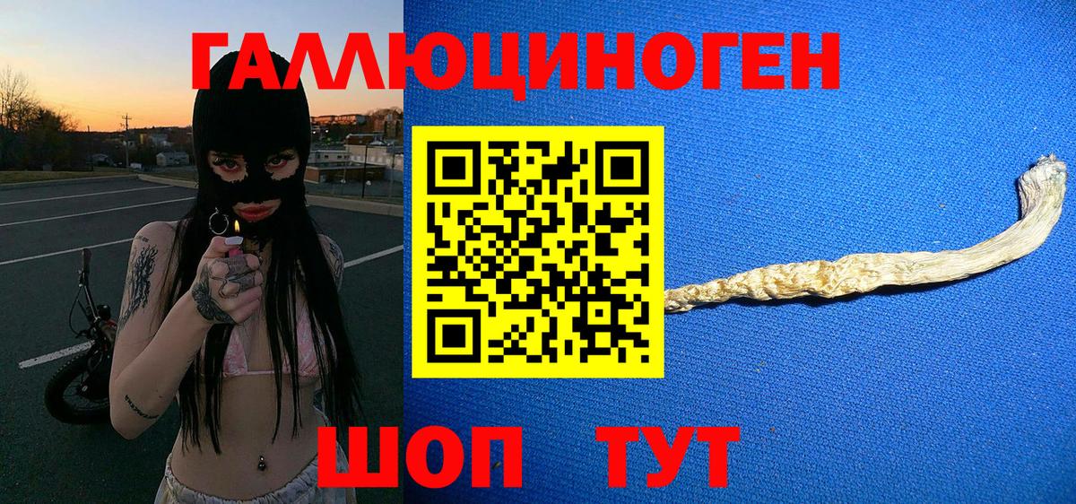 Галлюциногенные грибы Psilocybe Мелеуз